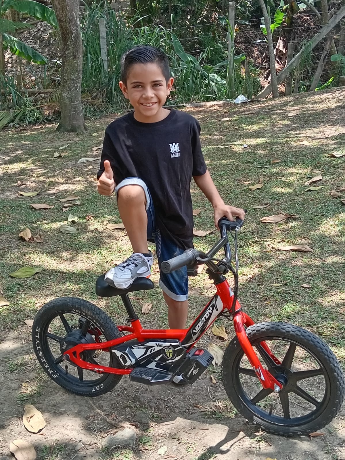 Bicicleta Electrica V16