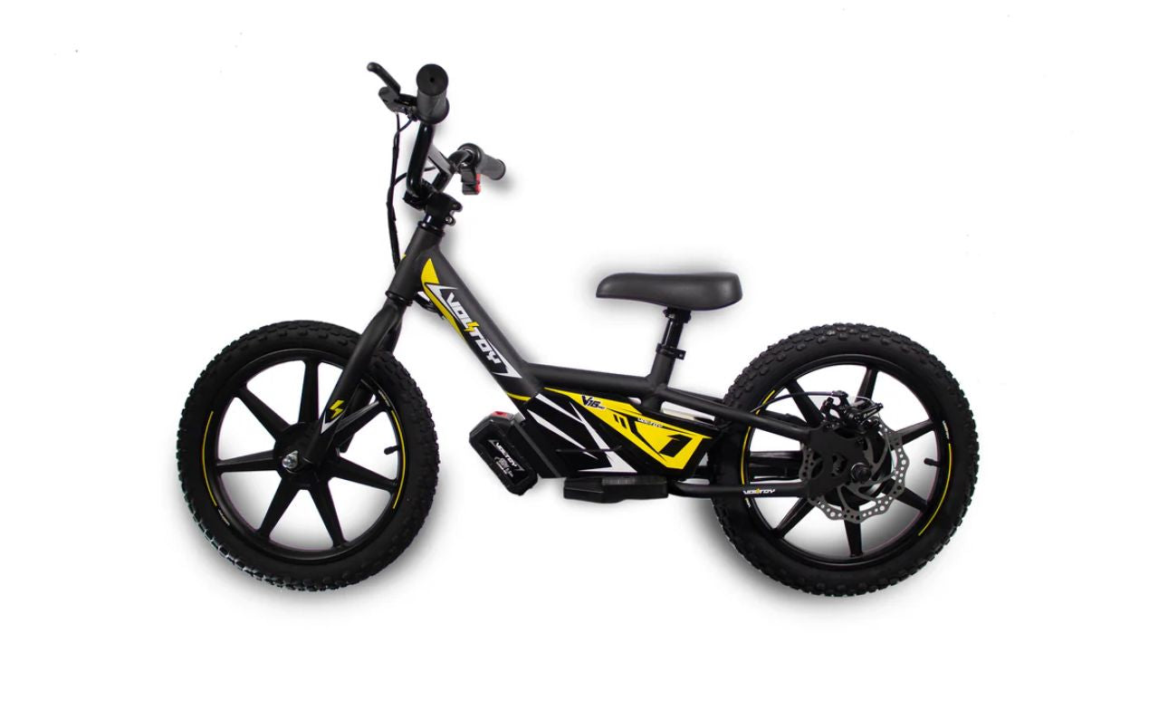 Bicicleta Electrica V16