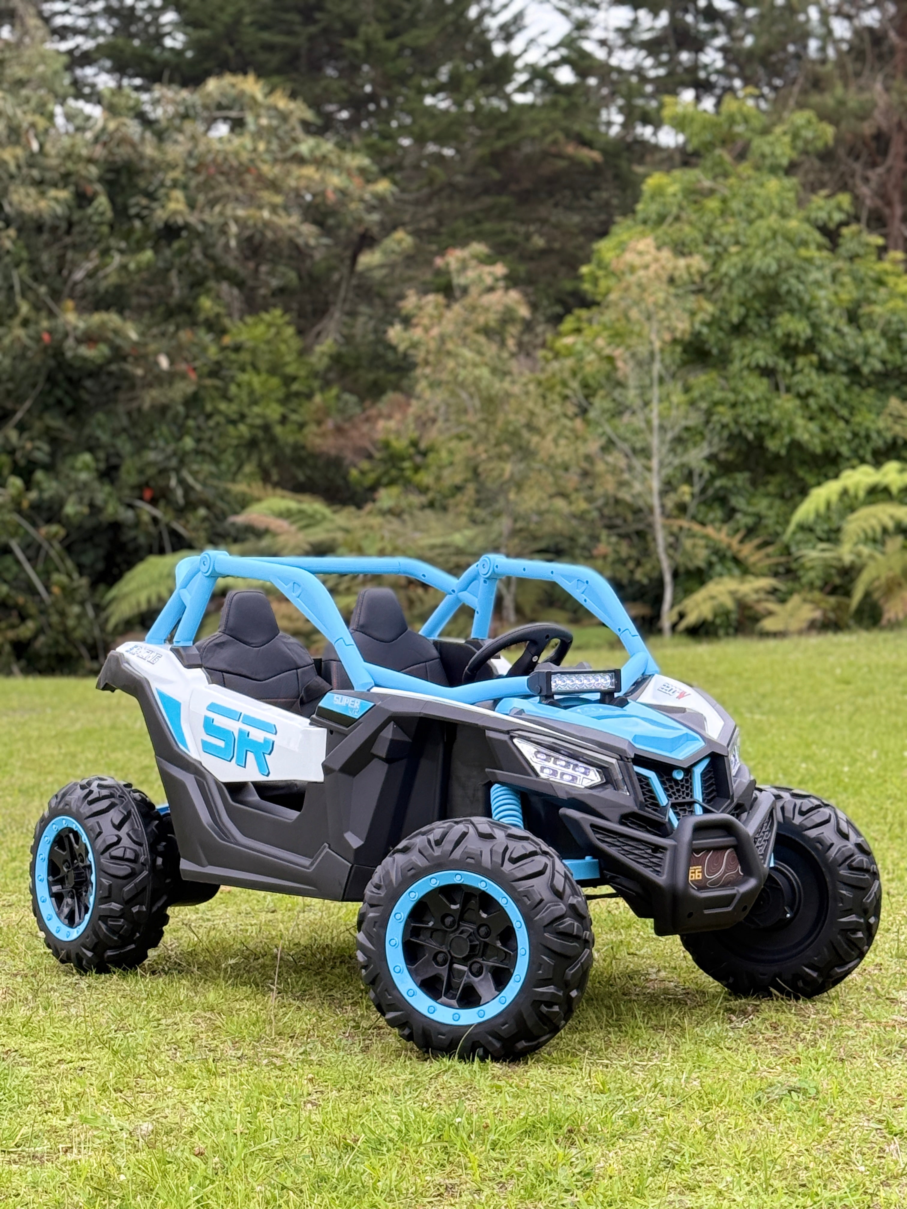 Can Am RS Eléctrico