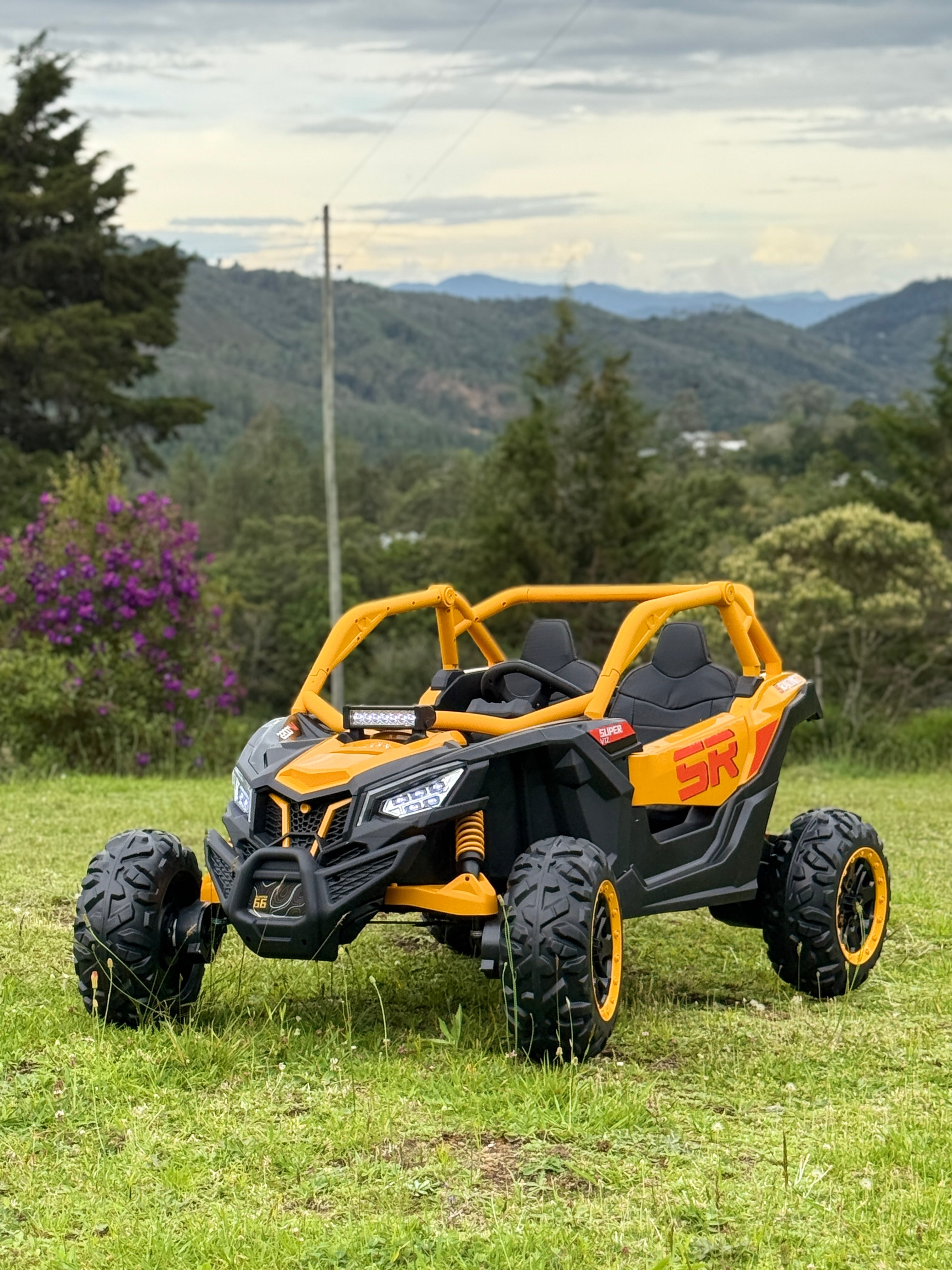 Can Am RS Eléctrico