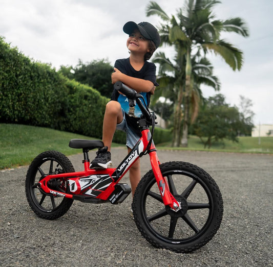 Bicicleta Electrica V16