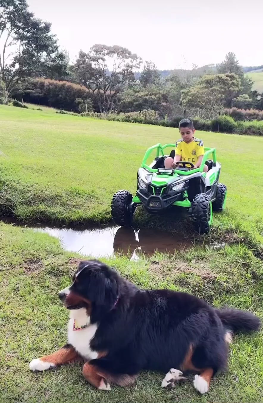 Can Am RS Eléctrico